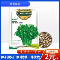 廠家批發(fā)一件代發(fā)香菜種子10克芫荽籽大葉耐寒耐熱四季蔬菜種子